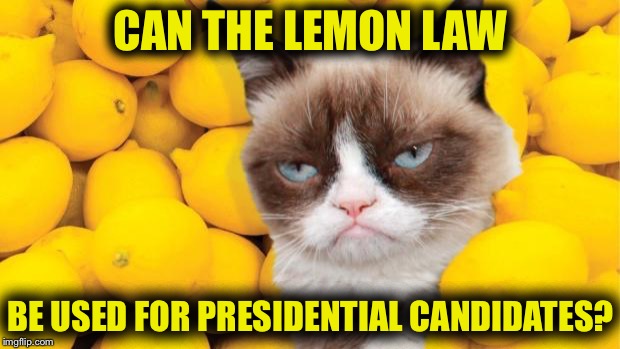 These candidates are defective  | CAN THE LEMON LAW; BE USED FOR PRESIDENTIAL CANDIDATES? | image tagged in grumpy cat lemons | made w/ Imgflip meme maker