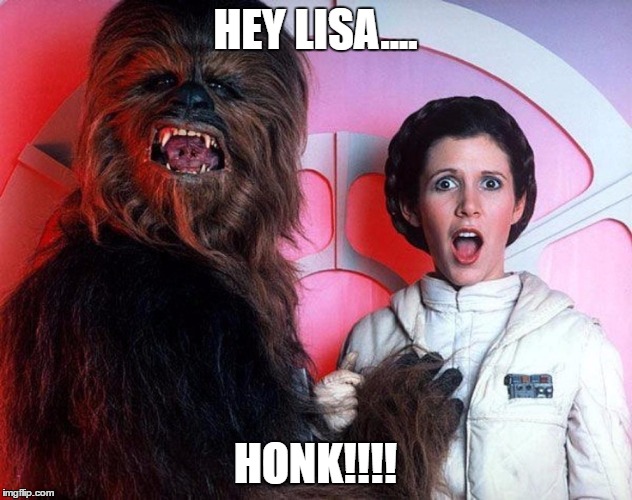 HEY LISA.... HONK!!!! | image tagged in honk | made w/ Imgflip meme maker