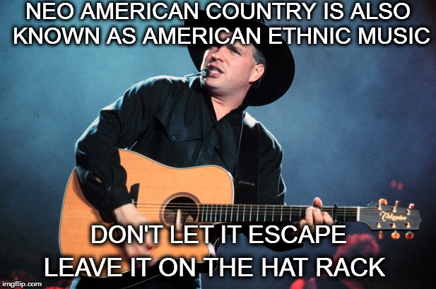 garth brooks | NEO AMERICAN COUNTRY IS ALSO KNOWN AS AMERICAN ETHNIC MUSIC; DON'T LET IT ESCAPE; LEAVE IT ON THE HAT RACK | image tagged in garth brooks | made w/ Imgflip meme maker
