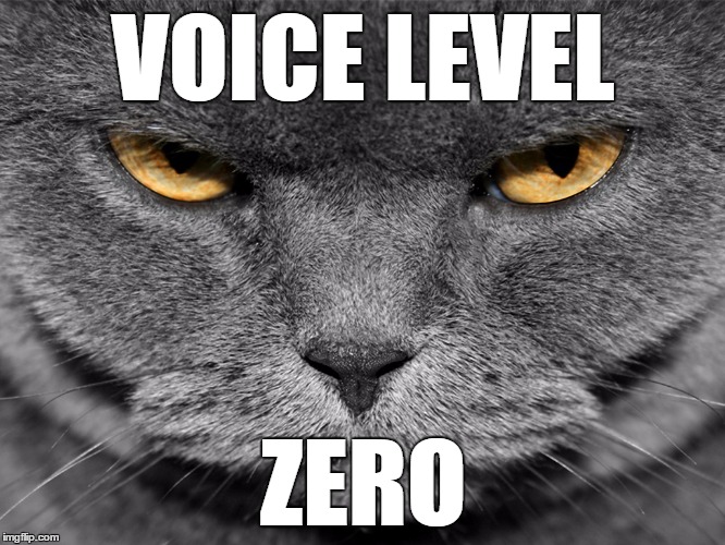 VOICE LEVEL; ZERO | image tagged in education | made w/ Imgflip meme maker