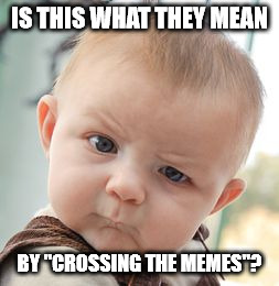 Skeptical Baby Meme | IS THIS WHAT THEY MEAN BY "CROSSING THE MEMES"? | image tagged in memes,skeptical baby | made w/ Imgflip meme maker