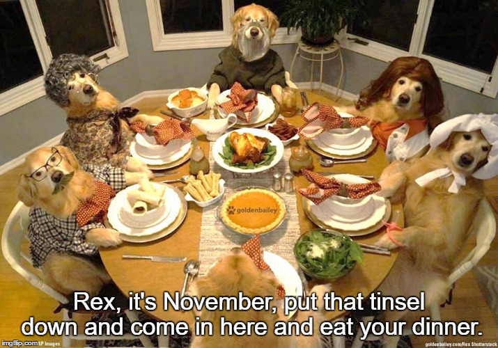 dog thanksgiving | Rex, it's November, put that tinsel down and come in here and eat your dinner. | image tagged in dog thanksgiving | made w/ Imgflip meme maker