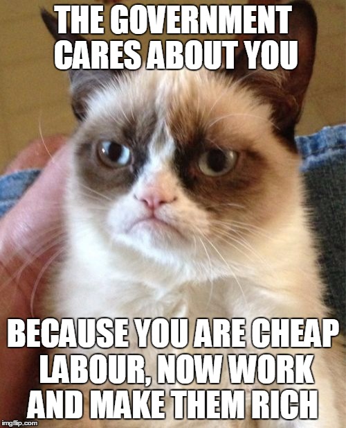 Grumpy Cat | THE GOVERNMENT CARES ABOUT YOU; BECAUSE YOU ARE CHEAP LABOUR, NOW WORK AND MAKE THEM RICH | image tagged in memes,grumpy cat | made w/ Imgflip meme maker