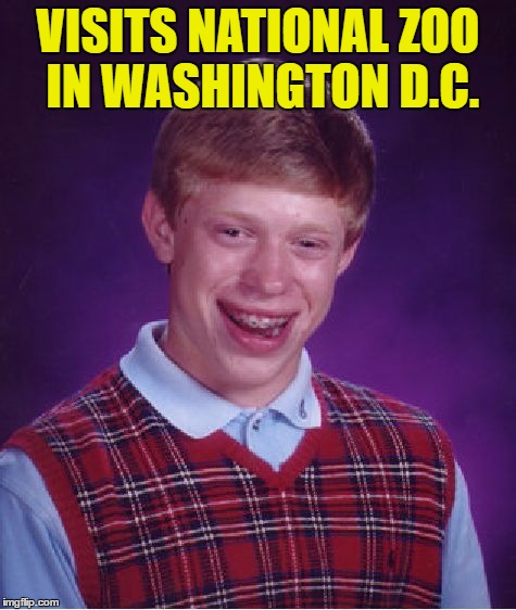 Bad Luck Brian Meme | VISITS NATIONAL ZOO IN WASHINGTON D.C. | image tagged in memes,bad luck brian | made w/ Imgflip meme maker