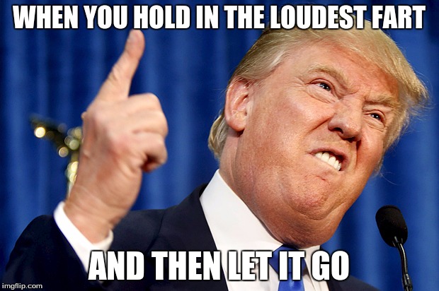 Donald Trump | WHEN YOU HOLD IN THE LOUDEST FART; AND THEN LET IT GO | image tagged in donald trump | made w/ Imgflip meme maker