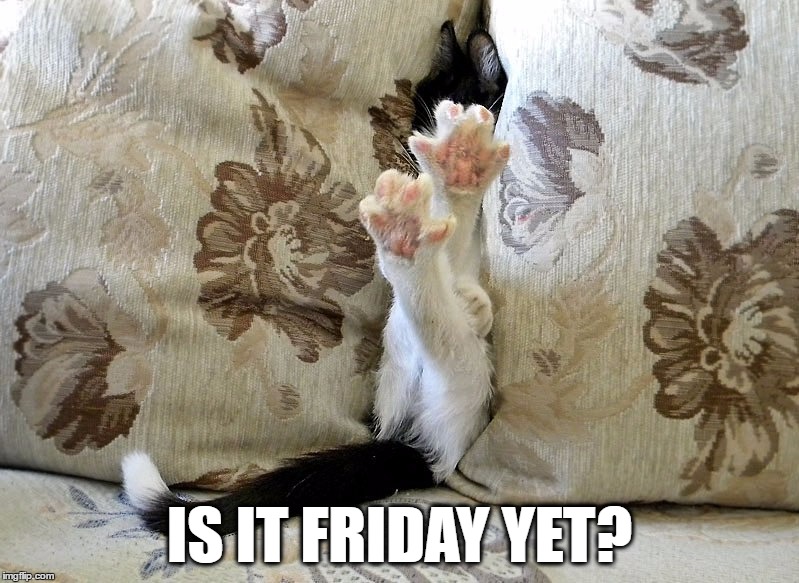 Is it friday yet? | IS IT FRIDAY YET? | image tagged in friday | made w/ Imgflip meme maker