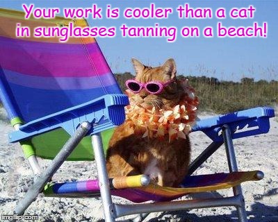 Beach Cat | Your work is cooler than a cat in sunglasses tanning on a beach! | image tagged in beach cat | made w/ Imgflip meme maker
