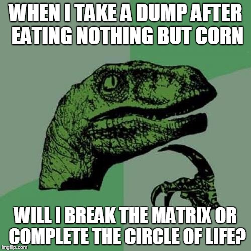 Philosoraptor | WHEN I TAKE A DUMP AFTER EATING NOTHING BUT CORN; WILL I BREAK THE MATRIX OR COMPLETE THE CIRCLE OF LIFE? | image tagged in memes,philosoraptor | made w/ Imgflip meme maker
