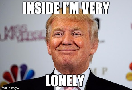 Donald trump approves | INSIDE I'M VERY; LONELY | image tagged in donald trump approves | made w/ Imgflip meme maker