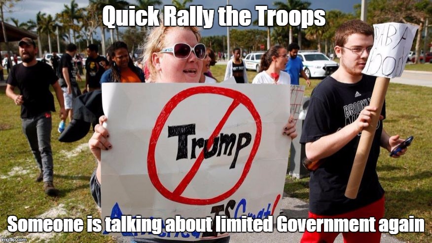 antiTrump | Quick Rally the Troops; Someone is talking about limited Government again | image tagged in antitrump | made w/ Imgflip meme maker