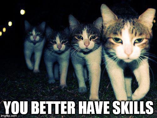Wrong Neighboorhood Cats | YOU BETTER HAVE SKILLS | image tagged in memes,wrong neighboorhood cats | made w/ Imgflip meme maker