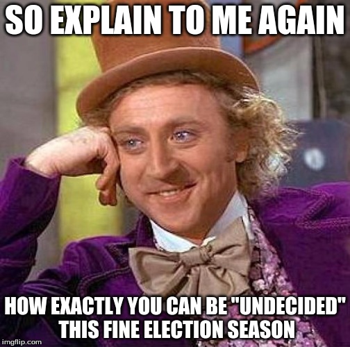 Willy Wonka Wonders | SO EXPLAIN TO ME AGAIN; HOW EXACTLY YOU CAN BE "UNDECIDED" THIS FINE ELECTION SEASON | image tagged in memes,creepy condescending wonka,drumpf,trump,election,hillary | made w/ Imgflip meme maker