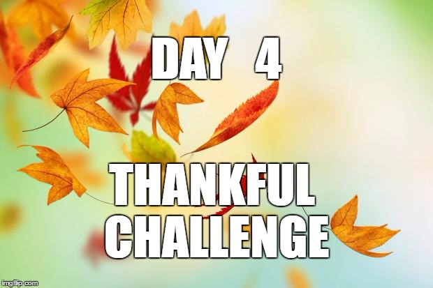 Leaves | DAY   4; THANKFUL CHALLENGE | image tagged in leaves | made w/ Imgflip meme maker