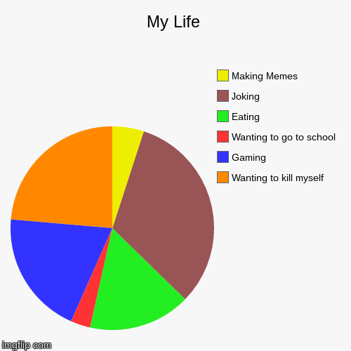 My Life Chart | image tagged in funny,pie charts | made w/ Imgflip chart maker