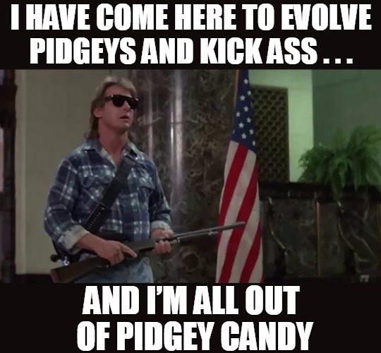 I HAVE COME HERE TO EVOLVE PIDGEYS AND KICK ASS . . . AND I’M ALL OUT OF PIDGEY CANDY | image tagged in memes | made w/ Imgflip meme maker