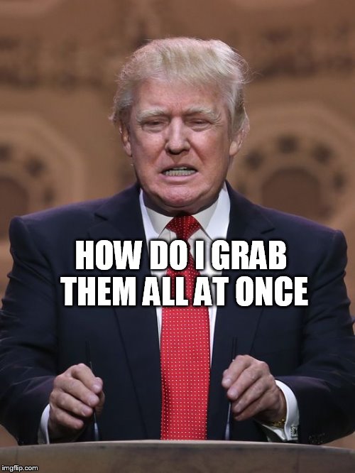 Donald Trump | HOW DO I GRAB THEM ALL AT ONCE | image tagged in donald trump | made w/ Imgflip meme maker
