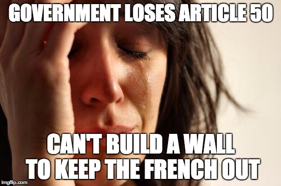 First World Problems Meme | GOVERNMENT LOSES ARTICLE 50; CAN'T BUILD A WALL TO KEEP THE FRENCH OUT | image tagged in memes,first world problems | made w/ Imgflip meme maker