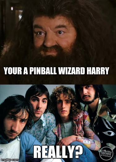 Hagrid | YOUR A PINBALL WIZARD HARRY; REALLY? | image tagged in pinball | made w/ Imgflip meme maker