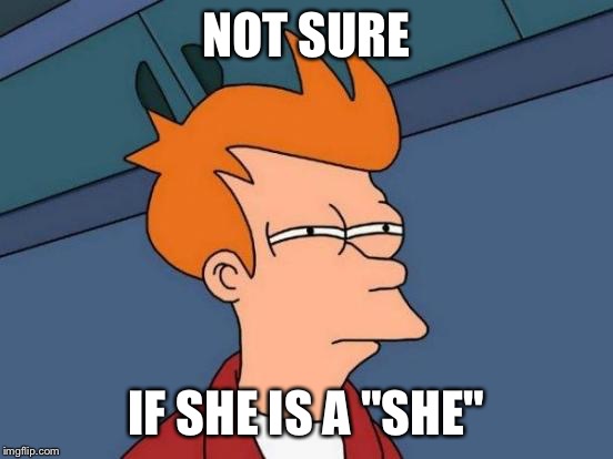 Futurama Fry Meme | NOT SURE IF SHE IS A "SHE" | image tagged in memes,futurama fry | made w/ Imgflip meme maker