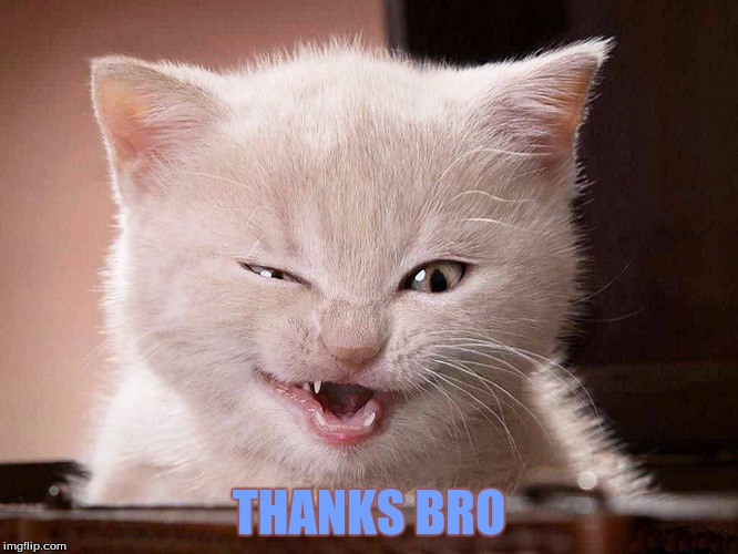 THANKS BRO | made w/ Imgflip meme maker