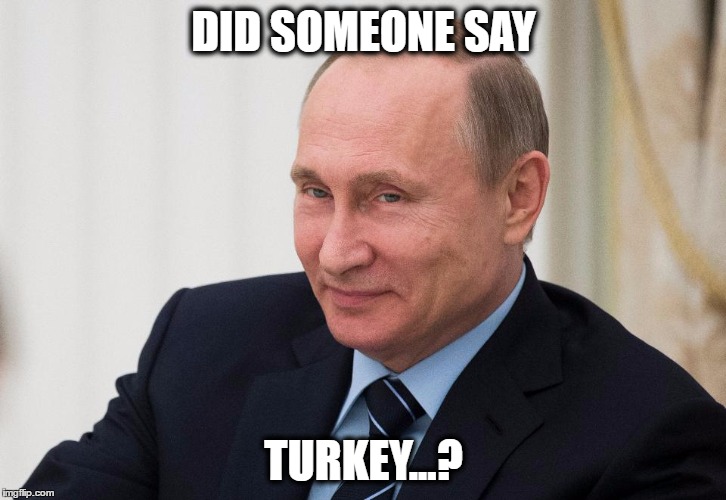 Thanksgiving is comin'! | DID SOMEONE SAY TURKEY...? | image tagged in thanksgiving,turkey,jokes | made w/ Imgflip meme maker