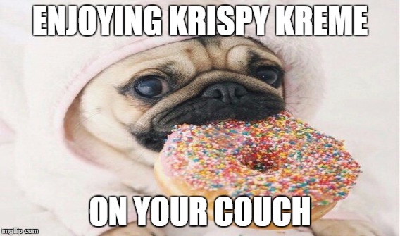 ENJOYING KRISPY KREME; ON YOUR COUCH | image tagged in doughnuts | made w/ Imgflip meme maker