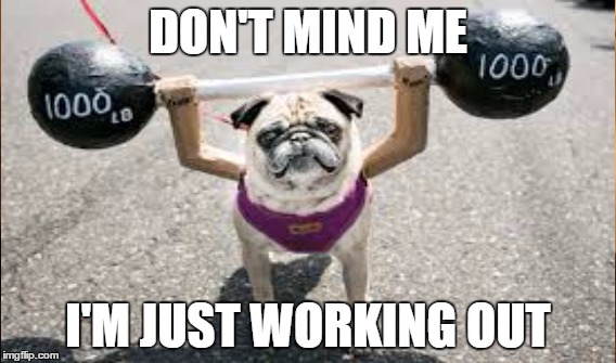 DON'T MIND ME; I'M JUST WORKING OUT | image tagged in work out | made w/ Imgflip meme maker