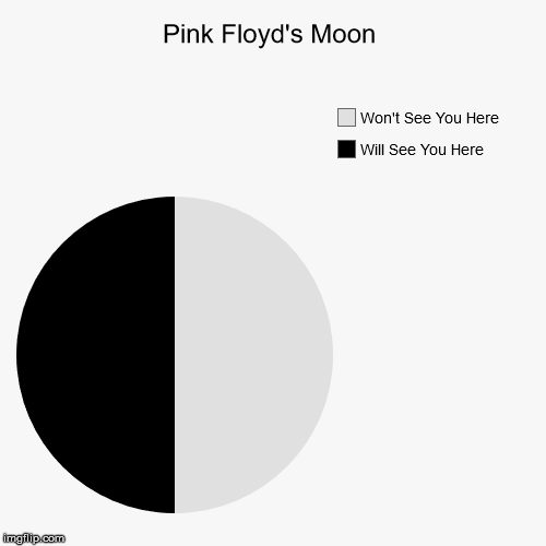 But no matter, they will wish you were here... | image tagged in funny,pie charts,pink floyd,dark side | made w/ Imgflip chart maker