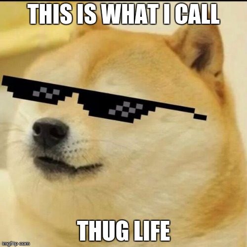 Sunglass Doge | THIS IS WHAT I CALL; THUG LIFE | image tagged in sunglass doge | made w/ Imgflip meme maker