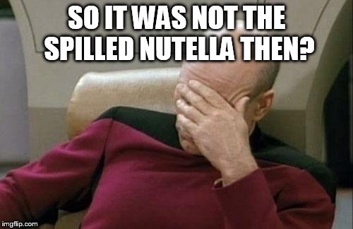 Captain Picard Facepalm Meme | SO IT WAS NOT THE SPILLED NUTELLA THEN? | image tagged in memes,captain picard facepalm | made w/ Imgflip meme maker