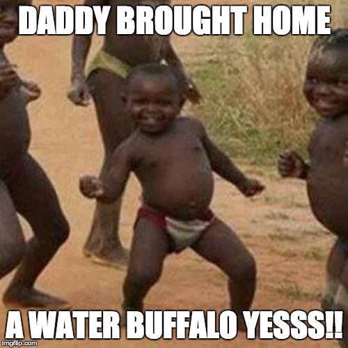 Third World Success Kid | DADDY BROUGHT HOME; A WATER BUFFALO YESSS!! | image tagged in memes,third world success kid | made w/ Imgflip meme maker