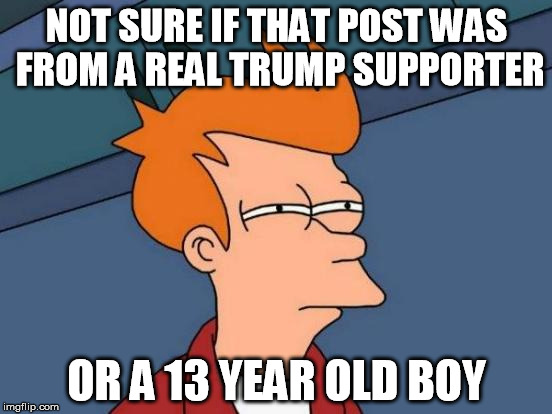 trump supporter | NOT SURE IF THAT POST WAS FROM A REAL TRUMP SUPPORTER; OR A 13 YEAR OLD BOY | image tagged in memes,futurama fry,trump,supporter,election | made w/ Imgflip meme maker