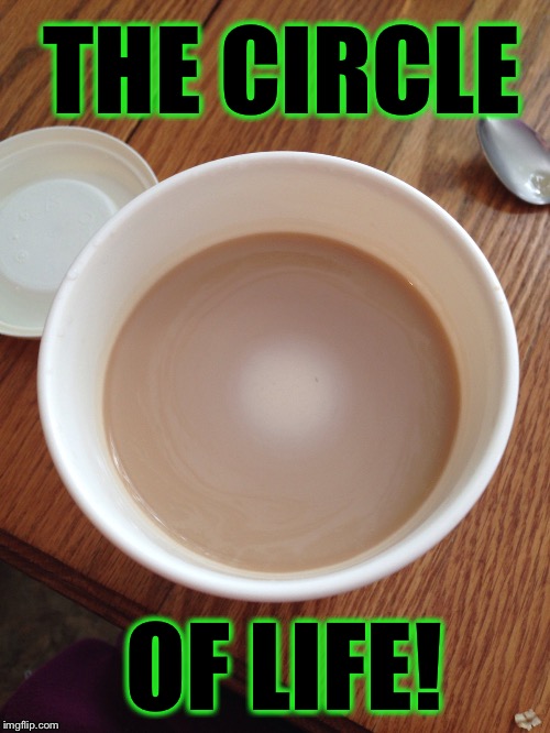 Coffee |  THE CIRCLE; OF LIFE! | image tagged in coffee,funny,memes,morning,life | made w/ Imgflip meme maker