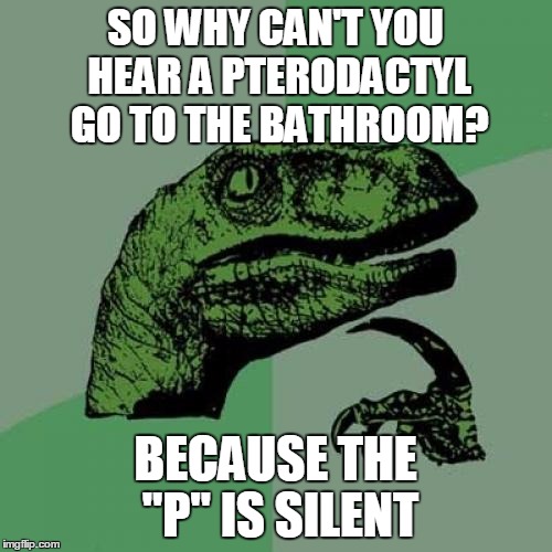 Here We Go Again! | SO WHY CAN'T YOU HEAR A PTERODACTYL GO TO THE BATHROOM? BECAUSE THE "P" IS SILENT | image tagged in memes,philosoraptor,potty jokes,silent letters,dinosaurs are funny | made w/ Imgflip meme maker