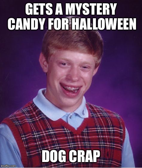 Hope this doesn't happen next Halloween  | GETS A MYSTERY CANDY FOR HALLOWEEN; DOG CRAP | image tagged in memes,bad luck brian | made w/ Imgflip meme maker