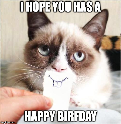 I HOPE YOU HAS A; HAPPY BIRFDAY | image tagged in ungrumpy cat | made w/ Imgflip meme maker