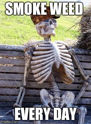 Waiting Skeleton Meme | SMOKE WEED; EVERY DAY | image tagged in memes,waiting skeleton,scumbag | made w/ Imgflip meme maker