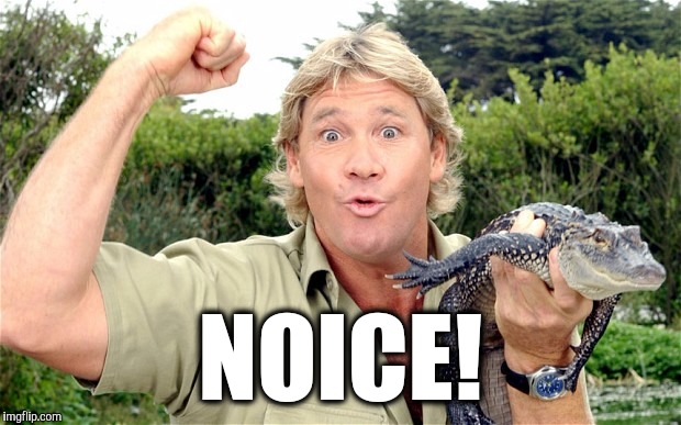 Whenever I see something awesome. | NOICE! | image tagged in steve irwin,crocodile hunter,rip,noice,funny,australia | made w/ Imgflip meme maker
