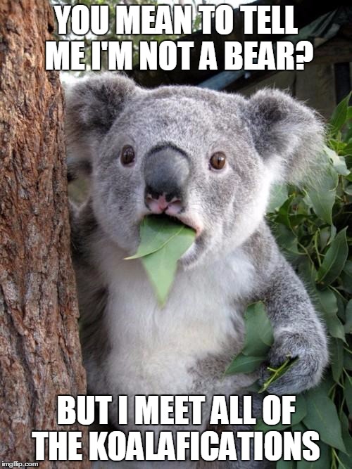 Surprised Koala |  YOU MEAN TO TELL ME I'M NOT A BEAR? BUT I MEET ALL OF THE KOALAFICATIONS | image tagged in memes,surprised koala | made w/ Imgflip meme maker