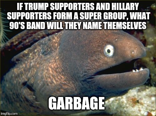 Bad Joke Eel Meme | IF TRUMP SUPPORTERS AND HILLARY SUPPORTERS FORM A SUPER GROUP, WHAT 90'S BAND WILL THEY NAME THEMSELVES; GARBAGE | image tagged in memes,bad joke eel,trump supporters,hillary supporters | made w/ Imgflip meme maker