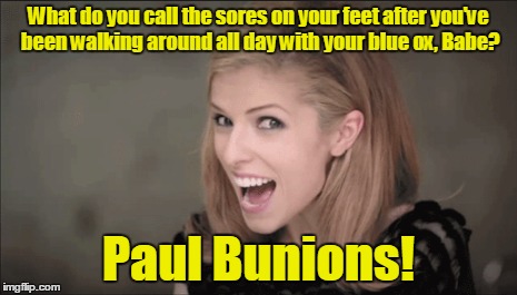 What do you call the sores on your feet after you've been walking around all day with your blue ox, Babe? Paul Bunions! | made w/ Imgflip meme maker