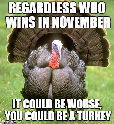 Turkey | REGARDLESS WHO WINS IN NOVEMBER; IT COULD BE WORSE, YOU COULD BE A TURKEY | image tagged in memes,turkey | made w/ Imgflip meme maker