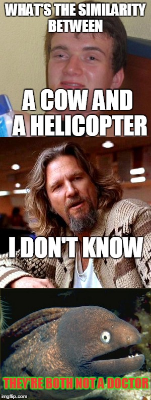 Bad pun. Le anti joke | WHAT'S THE SIMILARITY BETWEEN; A COW AND A HELICOPTER; I DON'T KNOW; THEY'RE BOTH NOT A DOCTOR | image tagged in memes,anti joke,10 guy | made w/ Imgflip meme maker