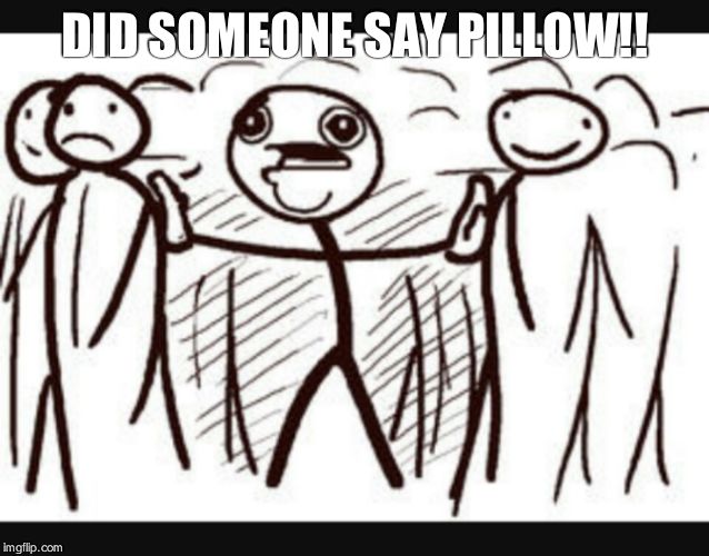 Boobs | DID SOMEONE SAY PILLOW!! | image tagged in boobs | made w/ Imgflip meme maker