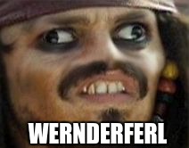 Johnny Derp | WERNDERFERL | image tagged in johnny derp | made w/ Imgflip meme maker