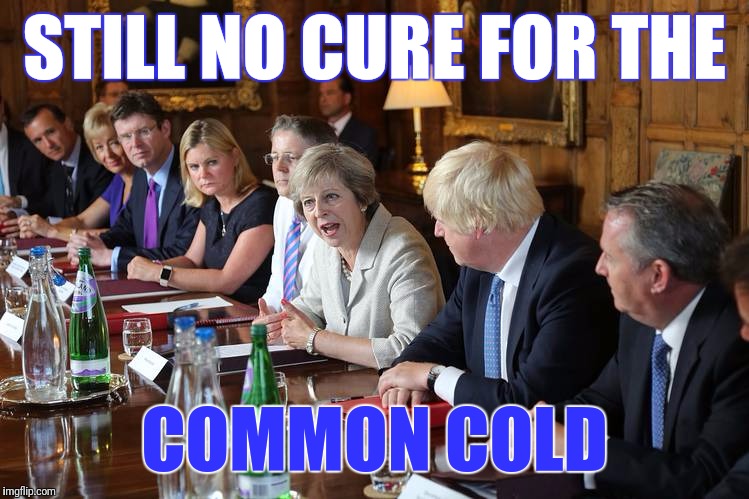 Still no cure for the government's colds | STILL NO CURE FOR THE; COMMON COLD | image tagged in politics,political,conspiracy,evil government,winter,colds | made w/ Imgflip meme maker