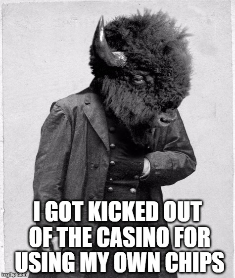 He Took A Gamble And Lost | I GOT KICKED OUT OF THE CASINO FOR USING MY OWN CHIPS | image tagged in casino,gambling,buffalo,puns | made w/ Imgflip meme maker