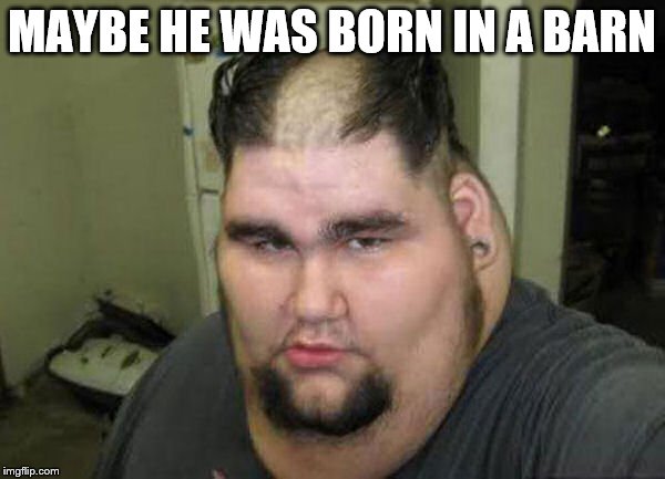 Thug_hairstyle | MAYBE HE WAS BORN IN A BARN | image tagged in thug_hairstyle | made w/ Imgflip meme maker