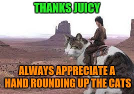 THANKS JUICY ALWAYS APPRECIATE A HAND ROUNDING UP THE CATS | made w/ Imgflip meme maker