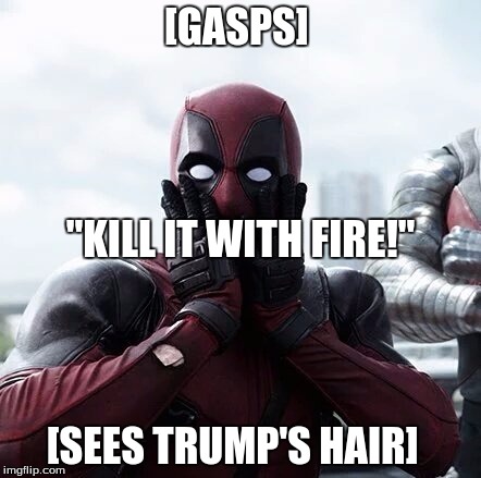 So that's what his real hair looks like... | [GASPS]; "KILL IT WITH FIRE!"; [SEES TRUMP'S HAIR] | image tagged in memes,deadpool surprised | made w/ Imgflip meme maker